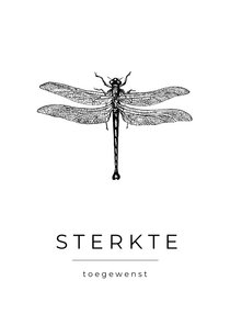 Moderne zwart-witte condoleance kaart met libel illustratie