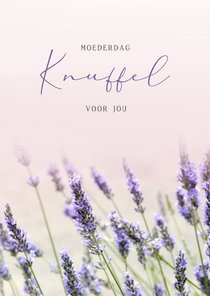 Moederdag sterkte kaart met foto van lavendel veld