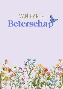 Mooie klassieke beterschapskaart met wilde bloemen