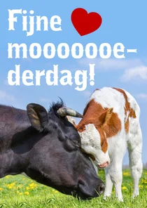 Moooederdag kaart