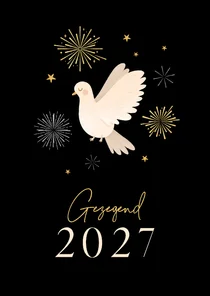 Nieuwjaarskaart christelijk vuurwerk witte duif gezegend