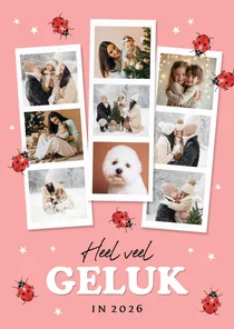 Nieuwjaarskaart geluk fotocollage lieveheersbeestjes sterren