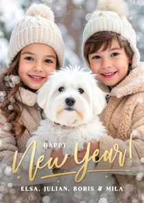 Nieuwjaarskaart met foto staan - happy new year!