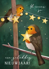 Nieuwjaarskaart met roodborstjes en lampjes