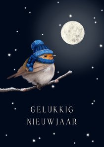 Nieuwjaarskaart roodborst volle maan