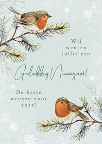 Nieuwjaarskaart roodborstjes natuurlijk illustratie sneeuw