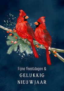 Nieuwjaarskaart vogel rode kardinaal
