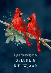 Nieuwjaarskaart vogel rode kardinaal