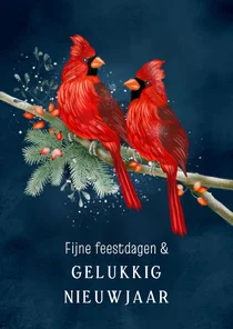 Nieuwjaarskaart vogel rode kardinaal