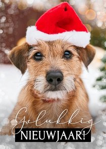 Nieuwjaarskaarten eenvoudige fotokaart zwart wit