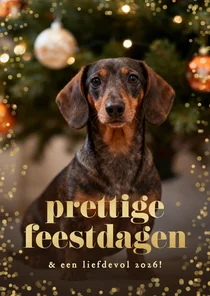 Nieuwjaarskaartje grote foto hond kader goud confetti
