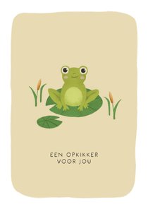 Opkikker kaart: Een kikker om je op te vrolijken