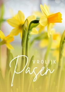 Paaskaart met foto van narcissen