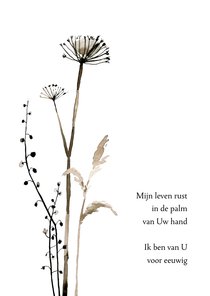 Religiekaart opwekking 697 droogbloemen