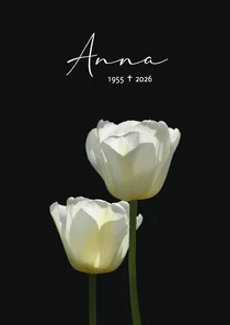 Rouwkaart twee zacht witte tulpen