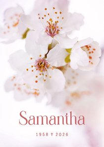 Rouwkaartje met kersenbloesem in bloei lichtroze