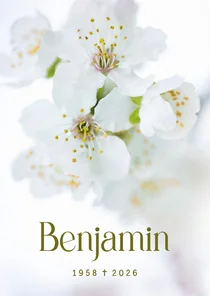 Rouwkaartje met kersenbloesem in bloei wit groen