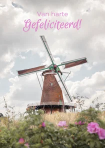 Roze felicitatiekaart met foto van een molen
