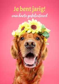 Roze verjaardagskaart van hond met bloemenkrans