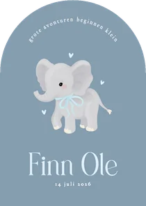 Schattig blauw geboortekaartje boog met olifantje jongen