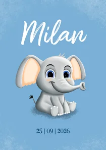 Schattig geboortekaartje met klein olifantje op de voorkant