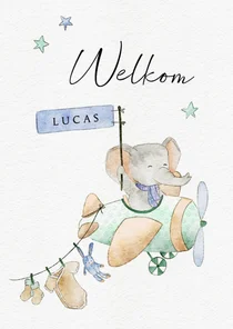 Schattig kaartje met olifant in vliegtuig voor geboorte zoon