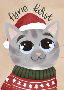 Schattig kerstkaartje kat met kersttrui fijne kerst