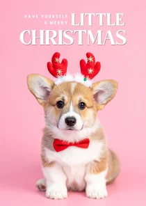 Schattig kerstkaartje roze met corgi puppy
