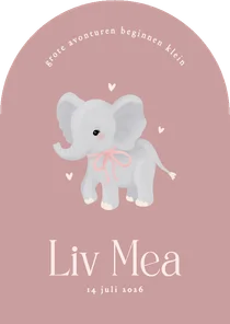 Schattig roze geboortekaartje boog met olifantje meisje
