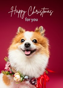 Schattig vrolijke kerstkaart pomsky met kerstkrans om