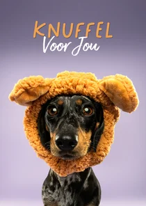 Schattige beterschapskaart van teckel met berenmuts knuffel