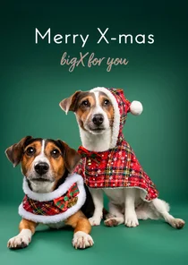 Schattige kerstkaart van hondjes met kerstkleding