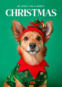 Schattige kerstkaartjes met hondje in kerst outfit