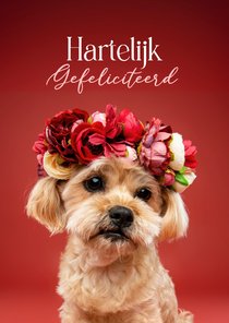 Schattige verjaardagskaart van hondje met bloemenkrans