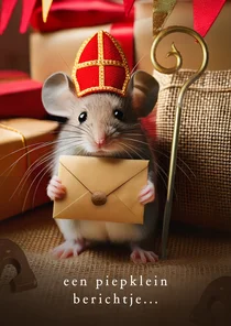 Sinterklaaskaartje klein berichtje sinterklaas muis mijter