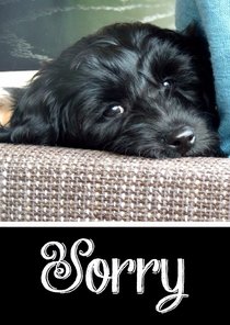 Sorry kaart hond