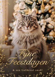 Sprankelend kerstkaartje fijne feestdagen met kat eigen foto