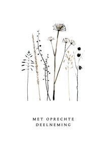 Sterkte kaart droogbloemen