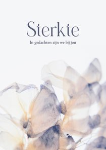 Sterkte kaart met stijlvolle droogbloemen