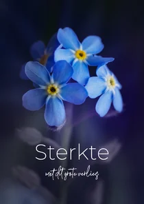 Sterkte kaart vergeet-me-nietjes bloemen