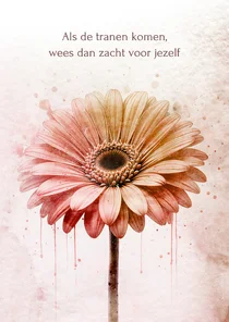 Sterktekaart gerbera zacht roze textuur