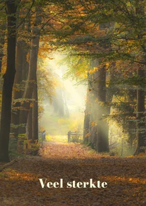 Sterktekaart herfstbos met zonnestralen
