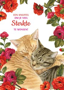 Sterktekaart knuffelende katten