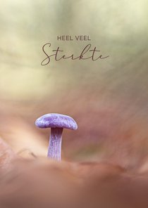 Sterktekaart met paddenstoel in het bos