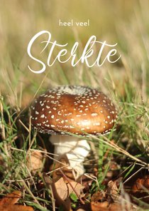 Sterktekaart paddestoel bruin met blaadjes herfst
