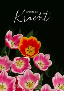 Sterktekaart rood roze gele tulpen