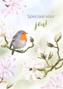 Sterktekaart roodborst op magnolia's