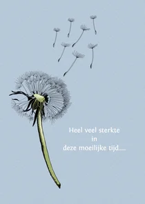 Sterktekaart uitgebloeide paardebloem