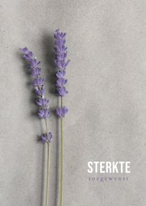 Stijlvolle moderne sterktekaart met lavendel takjes