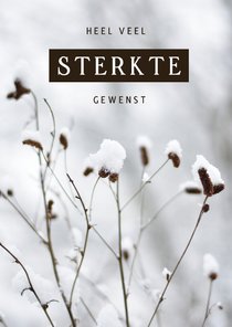 Stijlvolle sterkte kaart winter met besneeuwde plantjes